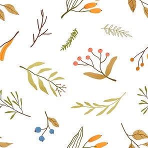 Autumn season plants flat vector seamless pattern. Dried leaves and branches texture. Blueberries twigs on white background. Herbarium backdrop. Fall season wild forest berries wrapping paper design