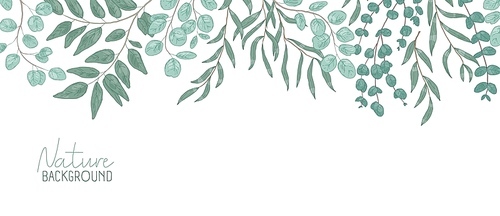 Nature vector realistic background. Foliage backdrop with place for text. Botanical composition, shrub branches with green leaves. Natural leafage, frondage. Floral hand drawn illustration