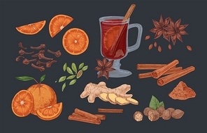 Mulled wine and spices hand drawn vector illustrations set. Flavoring seeds and herbs realistic color isolated cliparts pack. Winter season traditional drink ingredients. Ginger root, cinnamon sticks