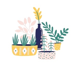 Potted houseplants flat vector illustration. Succulents, flowers and green herbs for home decoration isolated on white background. Windowsill gardening design element. Floristry hobby