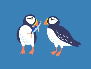 Atlantic puffins flat vector illustration. North fauna, wildlife. Red Book bird. Seafowl with fish in beak. Arctic shore seabird, ocean coast inhabitants isolated on blue background