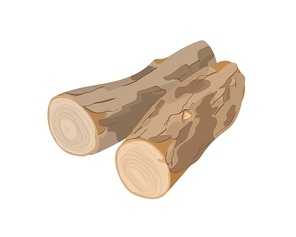 Wooden logs vector illustration. Tree trunk parts. Felled forest, industrial wood. Building material, firewood, woodworking industry item, constructing stuff. Lumber isolated on white 