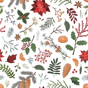 Winter botanical color vector seamless pattern. Zamioculcas, sorbus berries, juniper, mistletoe on white background. Seasonal botany decorative backdrop. Wrapping paper, textile, fabric design