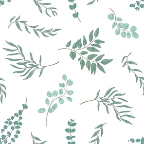 Realistic eucalyptus twigs and leaves seamless pattern. Hand drawn plant branches. Flora, foliage texture. Floral textile monochrome print. Realistic botanical wallpaper vector design