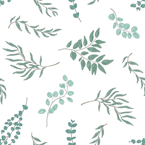 Realistic eucalyptus twigs and leaves seamless pattern. Hand drawn plant branches. Flora, foliage texture. Floral textile monochrome . Realistic botanical wallpaper vector design