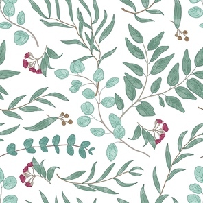 Eucalyptus branches hand drawn vector seamless pattern. Realistic exotic plant foliage texture. Twigs with green leaves decorative background. Floral wallpaper, textile, wrapping paper design