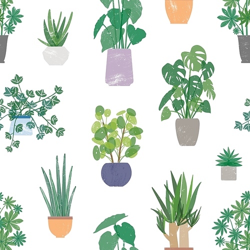 Home plants in ceramic pots vector seamless pattern. Domestic flowers colorful texture. Exotic houseplants in flowerpots color drawing. Creative textile, wallpaper, wrapping paper design
