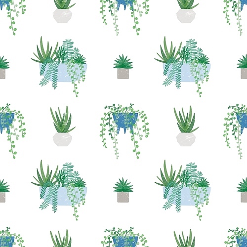 Trendy houseplants vector seamless pattern. Succulent, Rowley godson or pearl strands and sedum. Hobbit crassula, echeveria texture. Flora flat background. Botanical wallpaper design