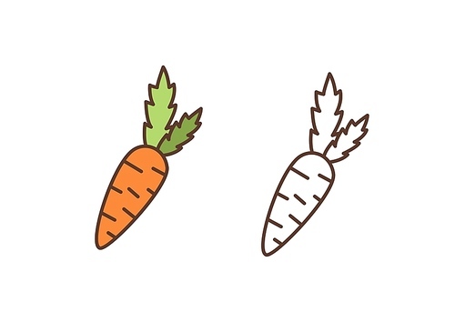 ripe carrot linear vector icon. raw organic food, natural farm vegetable outline illustration. delicious vitamin juice ingredient isolated on white . healthy nutrition, vegan  symbol