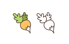 Raw turnip linear vector icon. Fresh organic radish with leaves outline illustration. Natural food, ripe vegetable, healthy grocery product isolated on white . Vegetarian nutrition symbol