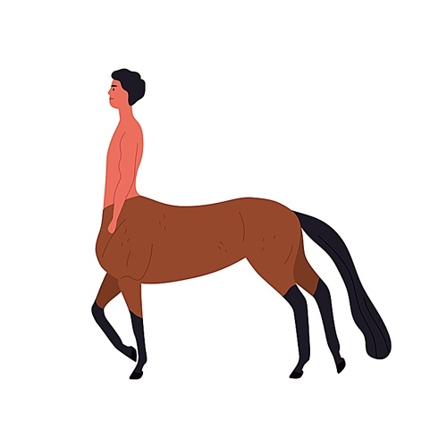 Mythical creature half horse and guy vector flat illustration. Cartoon centaur fantasy fairy tale hero isolated on white . Colorful mythology character with hooves and tail.