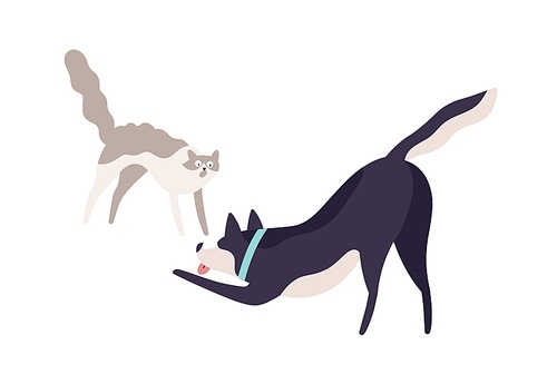 Cartoon scared cat and excited dog fighting vector flat illustration. Cute colorful domestic animal playing together isolated on white . Two angry pet having aggressive each other.