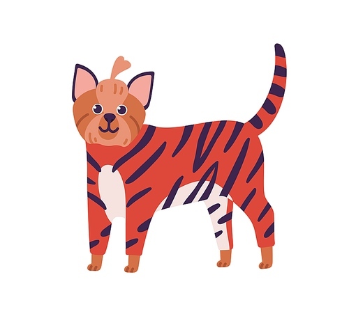 Attractive cartoon yorkshire terrier dog breed standing in tiger costume vector flat illustration. Funny domestic animal in colorful apparel isolated on white . Cute pet in amusing garment.