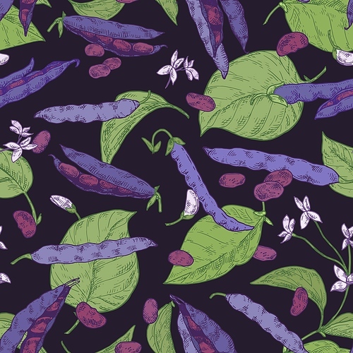 Colorful black beans pods and grains seamless pattern. Stem, leaves and flowers of natural plant isolated on black background. Colored realistic branch of soy hand drawn.