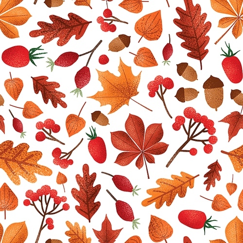 Autumn leaves and berries vector seamless pattern. Fall season foliage with acorns wallpaper design. Red ashberries, cape gooseberries and dogrose berries. Botanical wrapping paper, textile