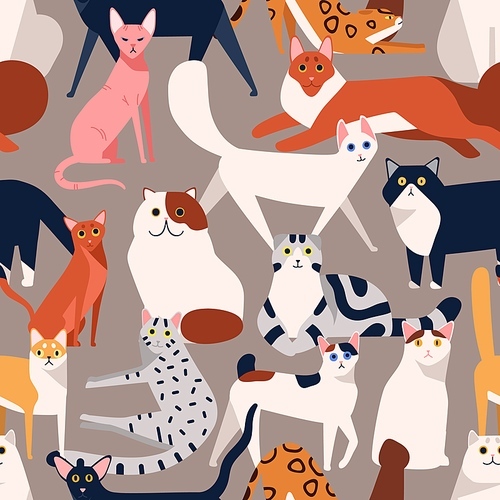 Seamless colored pattern with different cat breeds flat illustration. Creative decorative background with various pet vector isolated on gray. Funny cute domestic animal.