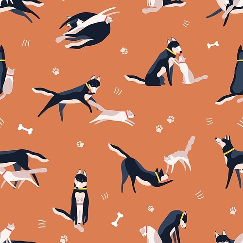 Two playful domestic colorful cat and dog seamless pattern. Funny cartoon animal running, playing, sitting and having fun together vector flat illustration. Cute pet friends on orange background.