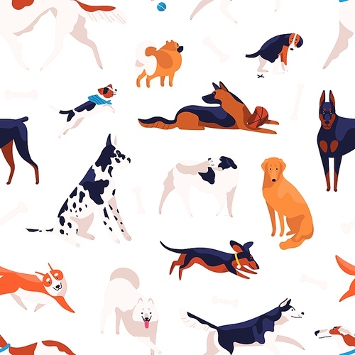Various domestic doggy breeds seamless pattern. Different cute purebred dog posing, sitting, standing and playing isolated on white . Adorable pet animal type vector flat illustration.