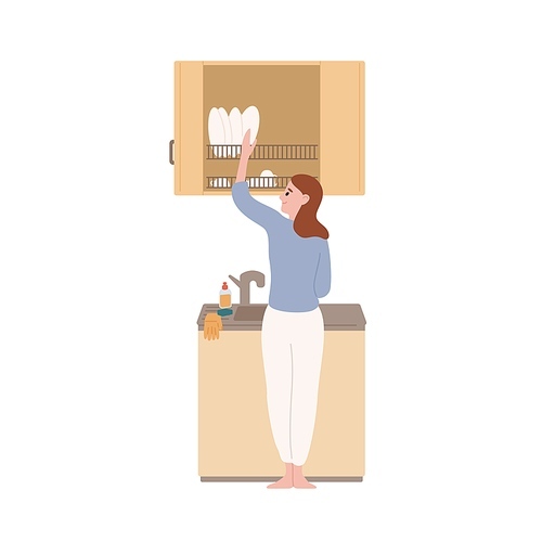 Smiling modern housewife wash dishes at kitchen vector flat illustration. Happy domestic woman enjoy housework isolated on white. Female putting clean plates on shelf. Joyful lady with crockery.