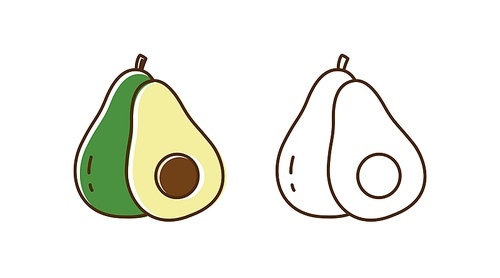 Set of fresh tasty avocado vector illustration in line art and outline style. Colorful and monochrome organic fruit with design elements isolated on white. Half and whole of delicious tropical food.