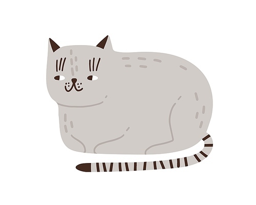 Funny childish gray cat vector flat illustration. Cute domestic animal with striped tail isolated on white . Cheerful pet lying hiding paws under body. Cunning feline character.