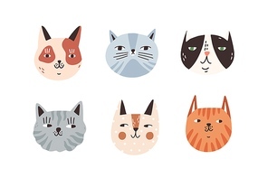 Set of different breeds cat muzzle vector flat illustration. Collection portraits of various cute childish domestic animals isolated on white. Spotty and striped kitty heads with design elements.