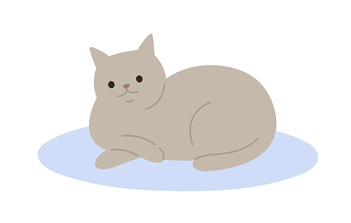 Cute cartoon gray cat lying on carpet vector flat illustration. Adorable domestic animal relaxing on floor isolated on white . Funny pet colorful furry friend with tail.