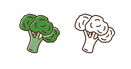 Set of color and monochrome broccoli icon vector flat illustration. Fresh organic vegetables in line art style isolated on white. Natural healthy food with vitamins decorated by design elements.
