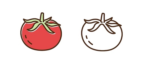 Organic tomato monochrome and colorful icon set vector flat illustration. Natural fresh farm food for healthy nutrition isolated on white. Cute vegetarian plant in line art style.