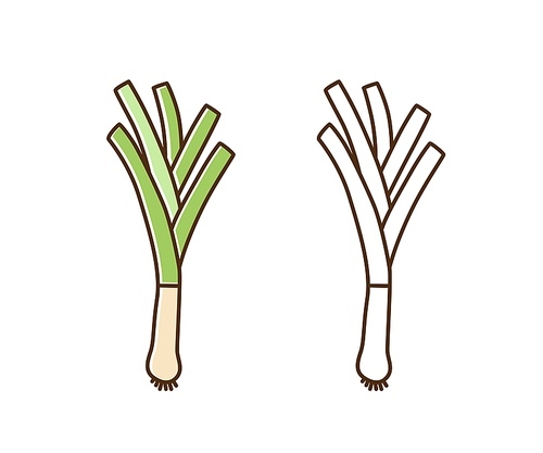 Organic natural leek monochrome and color set vector flat illustration. Fresh big root and stem of farm vegetable in line art style. Cute icon of vegetarian food with vitamins isolated on white.