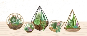 Composition of home decorative plants in various glass vivariums or florariums vector flat illustration. Trendy home decor in Scandinavian style on wooden surface. Exotic desert houseplant.