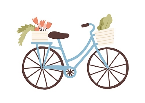 Cute hand drawn bicycle or bike isolated on white . Urban eco friendly pedal transport carrying baskets with flowers and plants vector flat illustration. Retro vehicle with flower bouquet.
