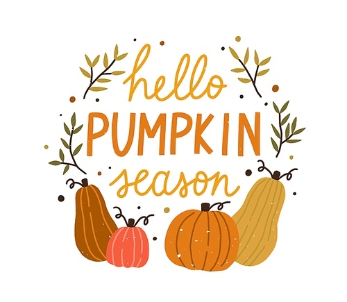 Hello pumpkin season cute colorful composition with quote inscription vector flat illustration. Colorful autumn hand drawn lettering decorated with design elements isolated. Creative fall phrase.