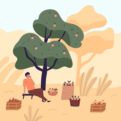 Tired man sitting on bench eating apple relaxing after harvest picking vector flat illustration. Male agricultural worker resting under tree at garden. Guy at autumn seasonal agriculture work.