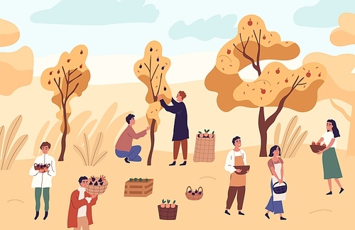Group of farmer people picking seasonal fruits from trees at garden vector flat illustration. Man and woman at orchard with apples, oranges and plums. Agricultural workers with autumn harvest.
