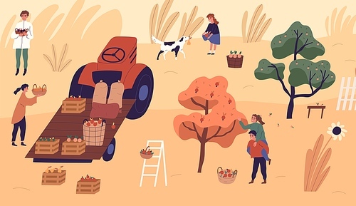 Family of farmers picking seasonal fruits at garden vector flat illustration. Man, woman and child carrying baskets, putting crates at tractor, playing with dog. Agricultural family working together.