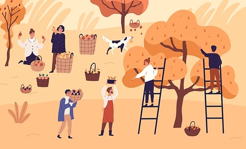 People agricultural workers picking seasonal fruits at garden vector flat illustration. Man and woman farmer collect pear, plum, orange and apple at plantation. Autumn harvest, agriculture work.
