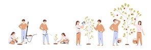 Set of couple planting and caring of tree stages vector flat illustration. Man and woman seedling, cultivation and collecting harvest isolated on white. Concept of collaboration and environment care.