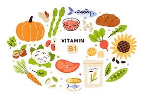 Collection of vitamin B1 sources. Food containing thiamin. Bread, nuts, vegetable, meat, fish, caviar, cereals. Dietetic products, organic nutrition. Flat vector cartoon illustration isolated.