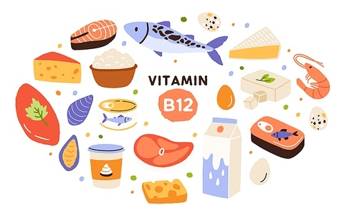 Collection of vitamin B12 food. Cottage cheese, eggs, sea food, fish, meat, dairy product. Dietetic products, organic natural nutrition. Flat vector cartoon illustration isolated on white .