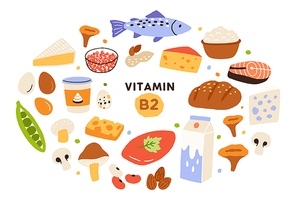 Collection of vitamin B2 sources. Food containing riboflavin. Cottage cheese, mushrooms, fish, dairy products, nuts. Dietetic products, organic nutrition. Flat vector cartoon illustration.