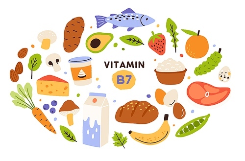 Collection of vitamin B7 source. Food containing biotin. Fish and meat, dairy products, fruits and vegetables. Dietetic organic nutrition. Flat vector cartoon illustration isolated on white 