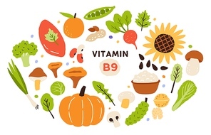 Collection of vitamin B9 sources. Food enriched with folatin. Dairy product, fruits, vegetables and salad greens. Dietetic organic nutrition. Flat vector cartoon illustration isolated on white.