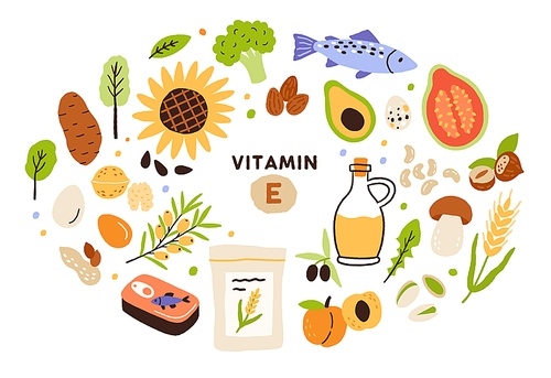 Collection of vitamin E sources. Balanced wholesome food. Fruits, vegetables, nuts, oil and fish. Dietetics products, organic. Flat vector cartoon illustration isolated on white .