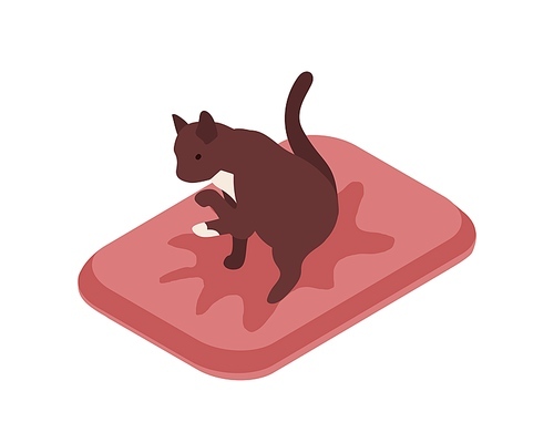 Cute cat sitting in tray over puddle of urine vector isometric illustration. Funny feline domestic animal on the pillow licking itself isolated on white . Colorful kitty pissing.