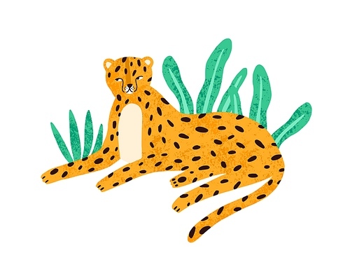 Childish portrait of relaxed leopard in scandinavian simple style. Cute jaguar lying in jungle nature. Funny cheetah resting outdoors. Flat vector cartoon illustration isolated on white .