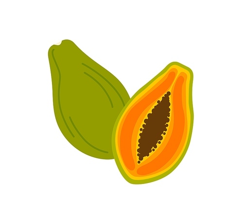 ripe papaya cross section, half and whole exotic delicious fruit with black seeds. flat vector cartoon illustration isolated on white .
