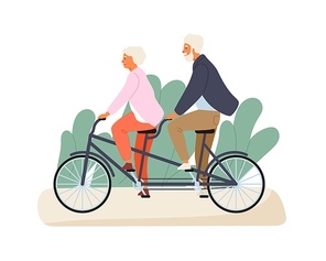 Active grandparents ride tandem bike in summer park. Elderly couple spend time together outdoors. Flat vector cartoon illustration of family recreation. Cheerful pensioners isolated on white.