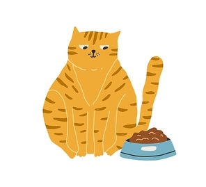 Cute hungry cat looking at bowl with food isolated on white background. Adorable big fat ginger kitty sitting near its feeder. Hand-drawn colored flat vector illustration in doodle style.