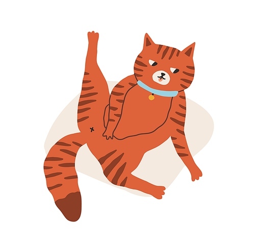 Cute and funny cat grooming and washing itself and lying belly up with raised back paw. Adorable kitty isolated on white . Hand-drawn colored flat vector illustration in doodle style.